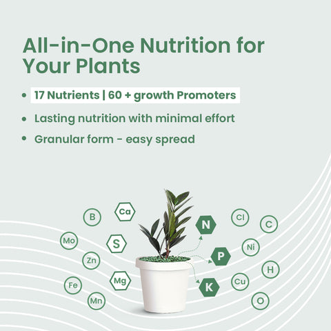 Green Diet – Complete Plant Food, Slow Release Granules
