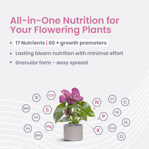 Flora Diet – Flowering Plant Food, Slow Release Granules