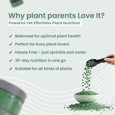 Green Diet – Complete Plant Food, Slow Release Granules