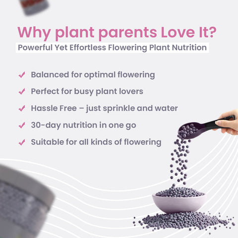 Flora Diet – Flowering Plant Food, Slow Release Granules