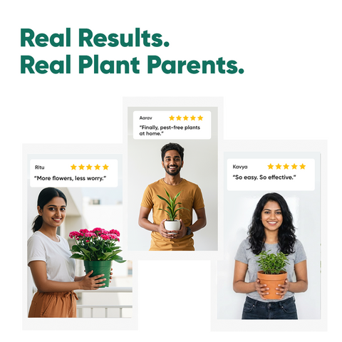 Nutrition & Protection Combo