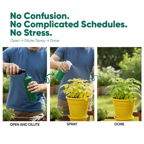 Nutrition & Protection Combo