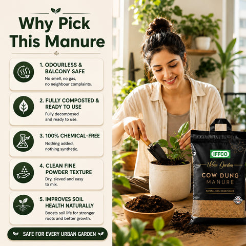 Cow Dung Manure