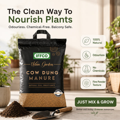 Cow Dung Manure