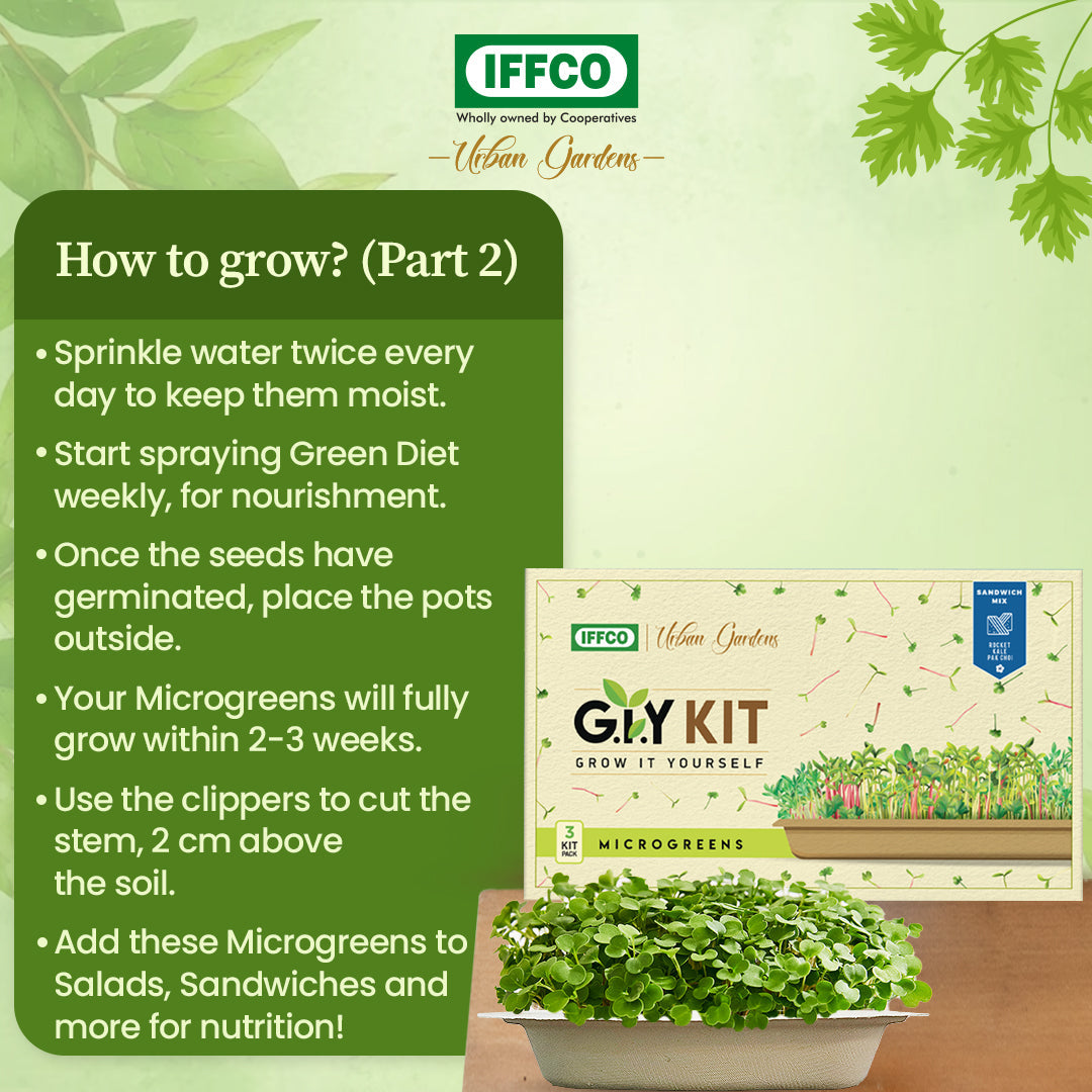 Grow It Yourself (GIY) Microgreens Kit - NOODLE MIX (3 Tray Pack)