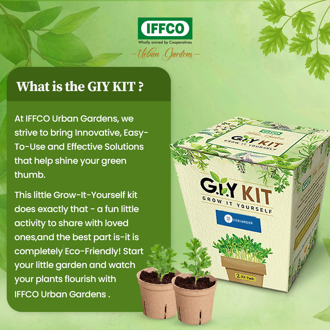 Grow It Yourself (GIY) Kit - CORIANDER (2 Pot Pack)