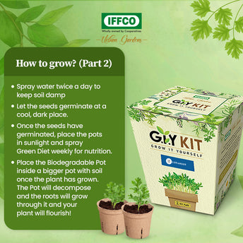 Grow It Yourself (GIY) Kit - BASIL (2 Pot Pack)