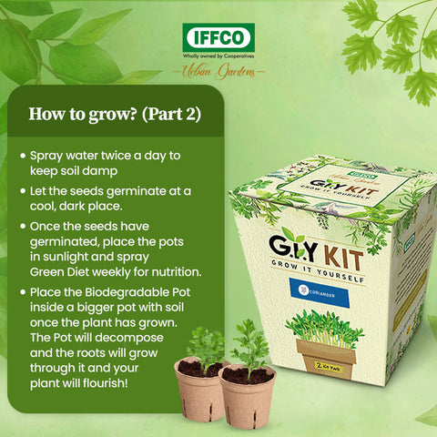 Grow It Yourself (GIY) Kit - CORIANDER (2 Pot Pack)