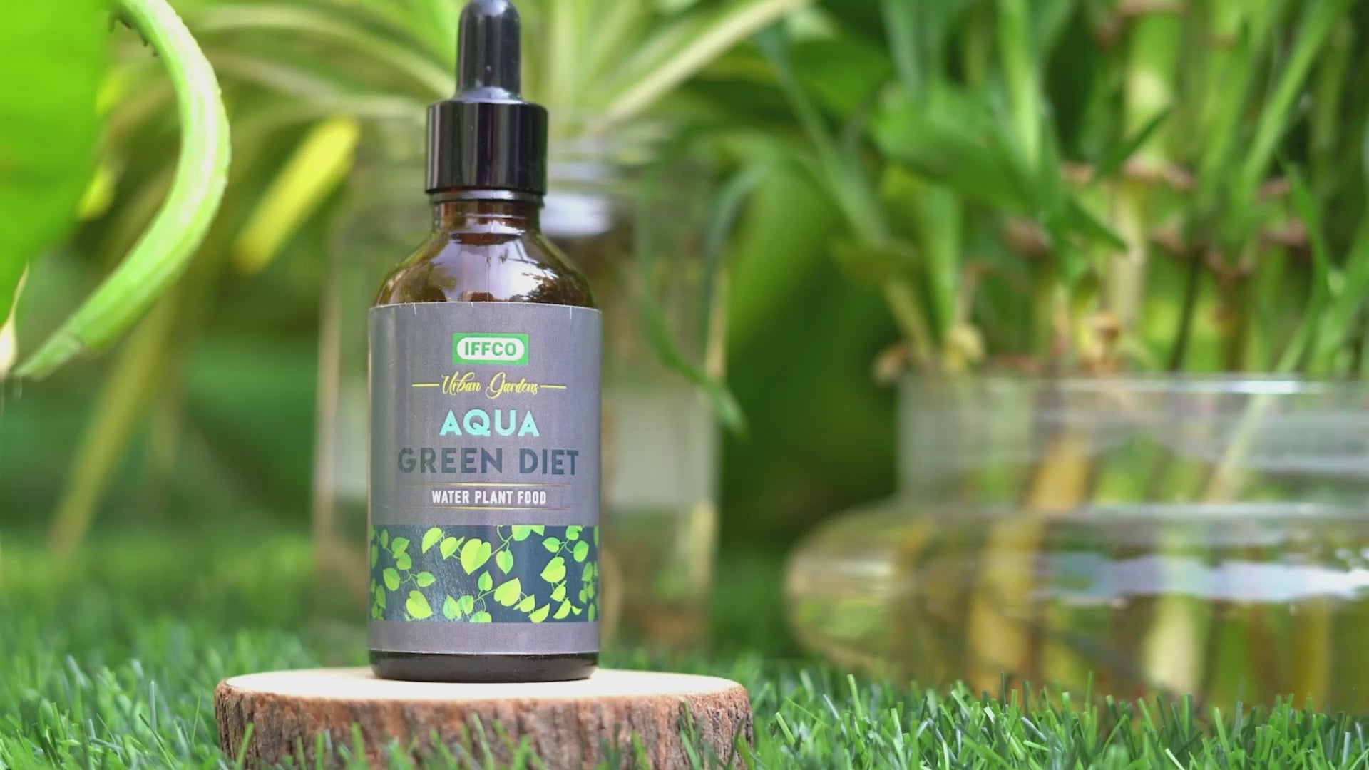 Aqua Green Diet - Water Plant Food