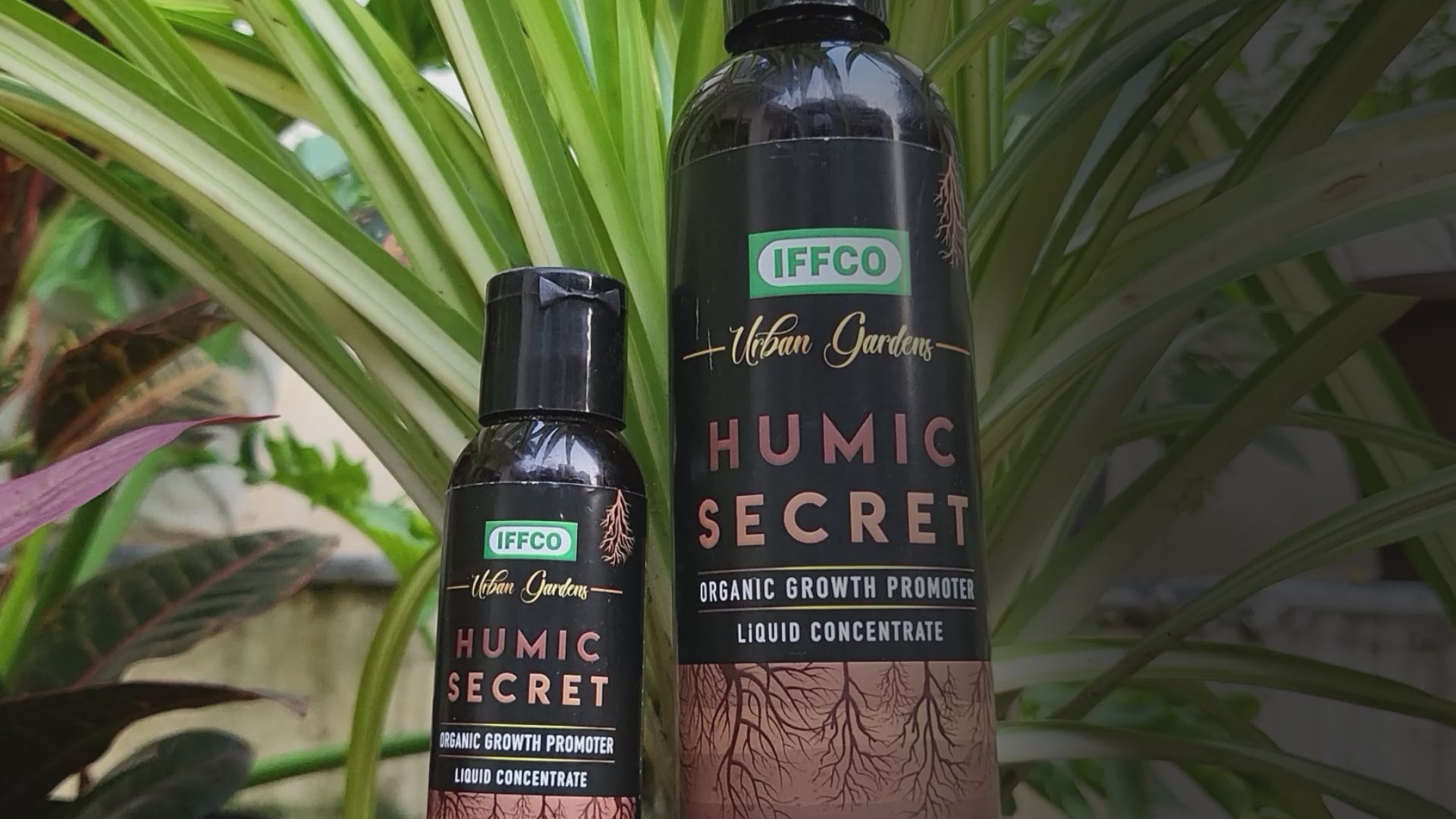 Humic Secret - Humic + Fulvic Acid, Water Soluble Liquid